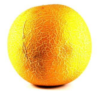 Melone Galia