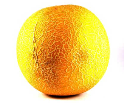 Melone Galia