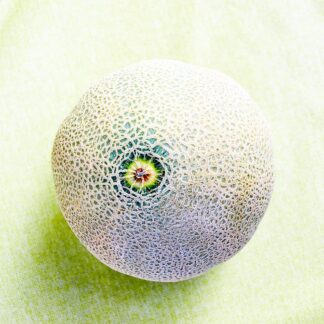 Melone Cantaloupe