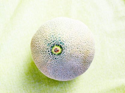 Melone Cantaloupe