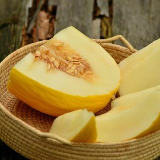 Melone Honig