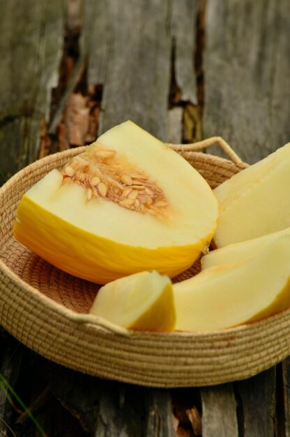 Melone Honig