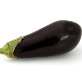 Aubergine kg