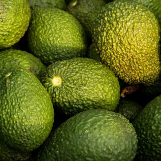 Avocados Stück