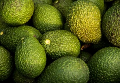 Avocados Stück