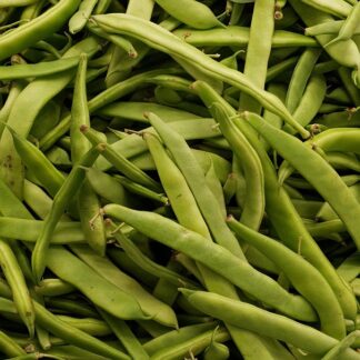 Bohnen breite Kiste