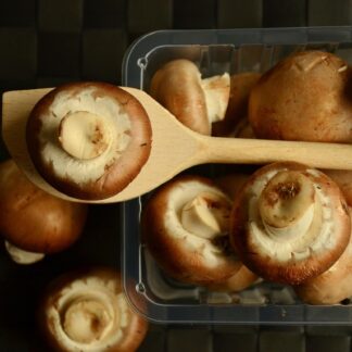 Champignon braun Kiste