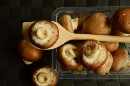 Champignon braun Schalen