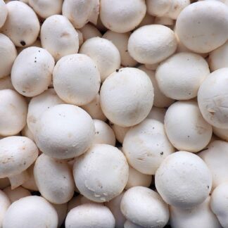 Champignon hell Kiste