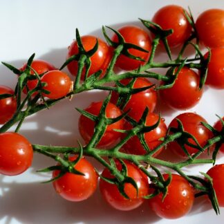 Cocktailtomate mit Stiel Kiste