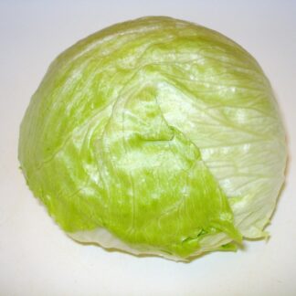 Eisbergsalat Kiste