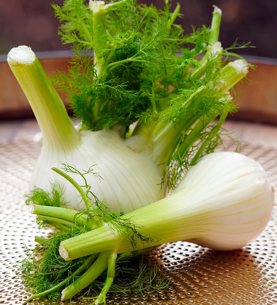 Fenchel Kiste