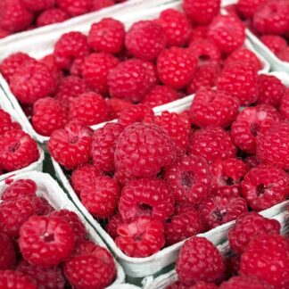 Himbeeren Schalen