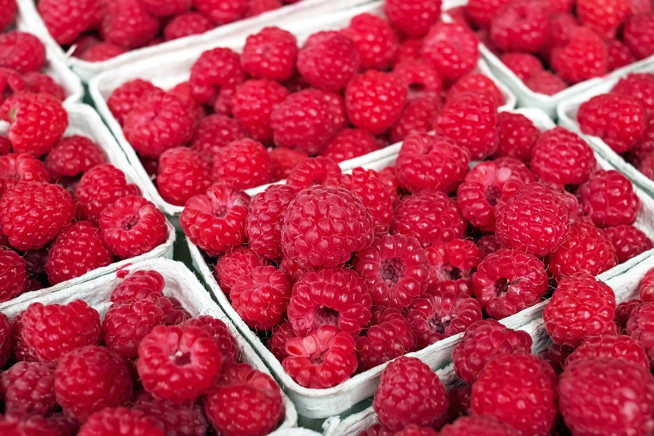 Himbeeren Schalen