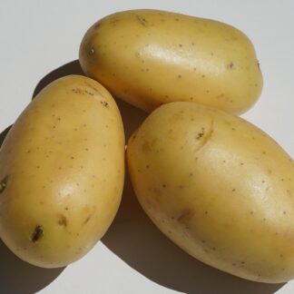 Kartoffeln vorw. festk. Kiste
