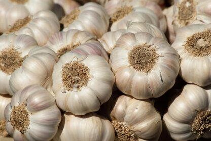 Knoblauch 100gr