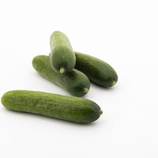 Gurke-Mini Kiste