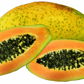 Papaya Stück