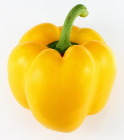 Paprika gelb kg