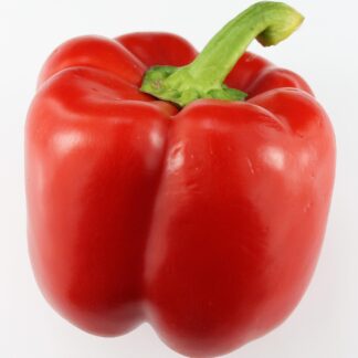 Paprika rot kg