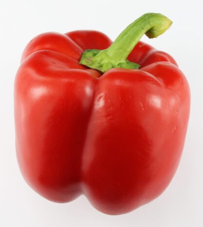 Paprika rot kg