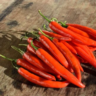 Peperoni rot kg