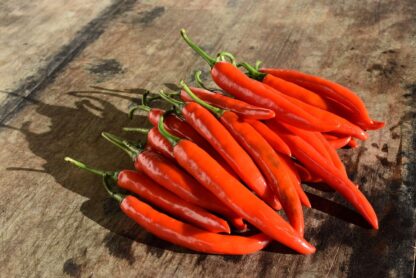 Peperoni rot kg