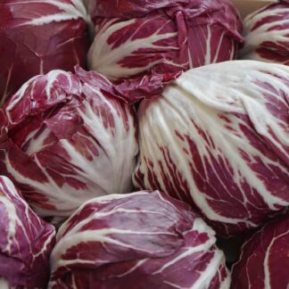 Radicchio Kiste