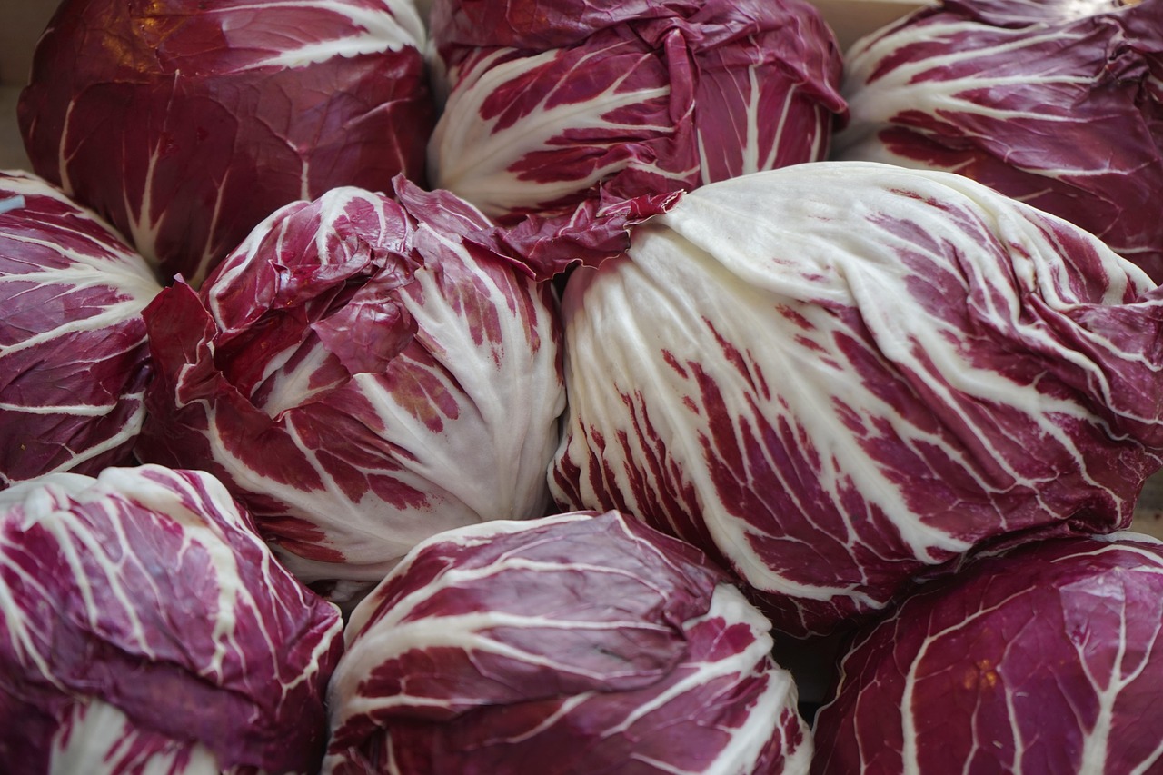 Radicchio Kiste