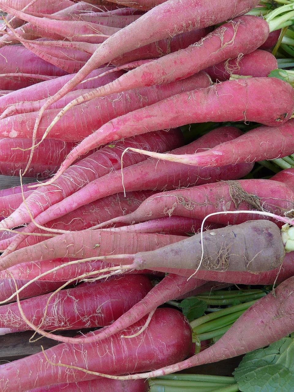 Rettich rot Kiste
