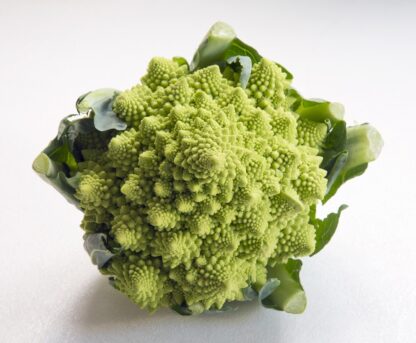 Romanesco Stück