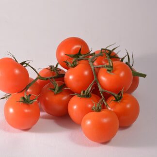 Strauchtomaten kg