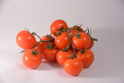 Strauchtomaten kg