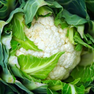 Blumenkohl Kiste