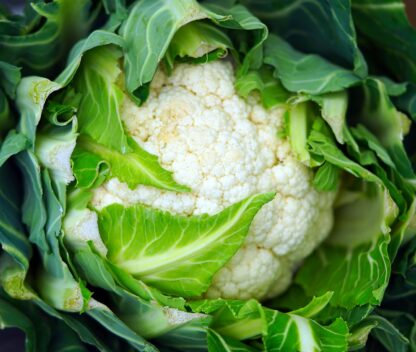 Blumenkohl Kiste